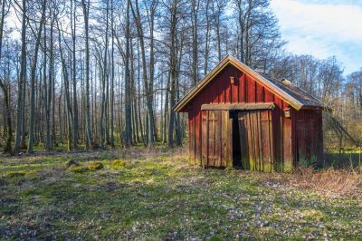Shed Repair is Less Expensive Than Shed Replacement